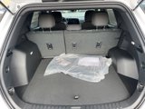 New 2026 Chevrolet Equinox LT w/ LPO, Floor Liner Package image 5