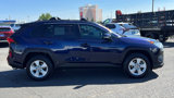 Used 2021 Toyota RAV4 XLE w/ Convenience Package image 4