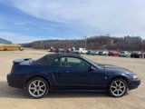 Used 2001 Ford Mustang Deluxe Convertible image 5