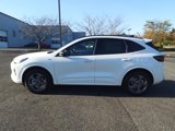 New 2024 Ford Escape ST-Line w/ Tech Pack #1 image 6