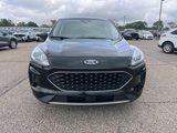 Certified 2022 Ford Escape SE w/ Cold Weather Package image 2