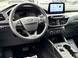 Used 2022 Ford Escape SE image 4