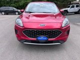 Used 2020 Ford Escape SE image 2