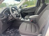 Used 2023 Ford Escape Active image 6