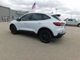 New 2025 Ford Escape Active image 5