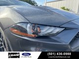 Used 2019 Ford Mustang Coupe w/ Equipment Group 101A image 6