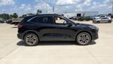 Used 2020 Ford Escape SEL image 2