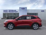 New 2025 Ford Escape ST-Line w/ Tech Pack #1 image 3