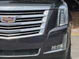 Used 2015 Cadillac Escalade Platinum image 5