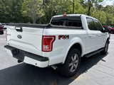 Used 2017 Ford F150 XLT w/ Equipment Group 302A Luxury image 5
