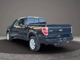 Used 2010 Ford F150 Lariat image 4