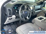 Used 2020 Ford F150 XLT image 2
