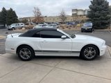 Used 2014 Ford Mustang Premium w/ Equipment Group 201A image 5