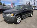 Used 2006 Ford Escape XLT image 3