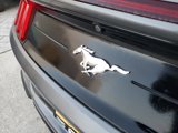 Used 2022 Ford Mustang Premium image 6
