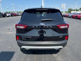 Used 2023 Ford Escape Platinum image 4