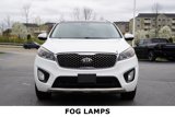 Used 2016 Kia Sorento SX image 2