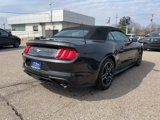 Certified 2022 Ford Mustang Premium image 5