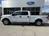 Used 2014 Ford F150 XLT w/ Equipment Group 302A Luxury image 4