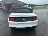 Used 2019 Ford Mustang Premium image 4