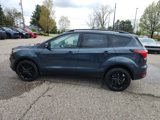 Used 2019 Ford Escape Titanium image 6