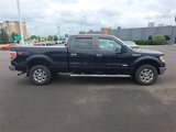 Used 2014 Ford F150 XLT w/ Equipment Group 302A Luxury image 6