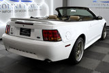 Used 1999 Ford Mustang Cobra image 5