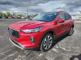 Used 2024 Ford Escape Platinum w/ Premium Technology Package image 6