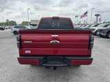 Used 2013 Ford F150 Limited image 3