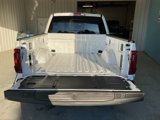 New 2024 Ford F150 XLT w/ Equipment Group 302A MID image 6