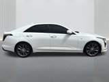 Used 2021 Cadillac CT4 Sport w/ Driver Awareness Plus Package image 4