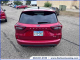Used 2024 Ford Escape ST-Line w/ Tech Pack #1 image 4