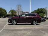 Used 2017 Kia Sorento SX image 3