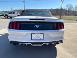 Used 2017 Ford Mustang Premium image 6
