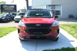 Used 2021 Ford Escape SE image 2