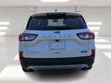 Used 2022 Ford Escape Titanium image 4