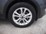 Used 2019 Ford Escape SE image 5