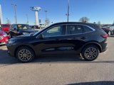 Certified 2023 Ford Escape SE w/ PHEV Premium Package image 3