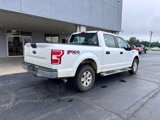 Used 2019 Ford F150 XL w/ Equipment Group 101A Mid image 3