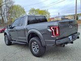 Certified 2017 Ford F150 Raptor image 5