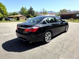 Used 2013 Honda Accord Sport image 6