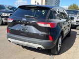 Used 2022 Ford Escape SE image 6