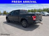 Used 2016 Ford F150 XLT w/ Equipment Group 302A Luxury image 6