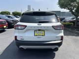 Certified 2022 Ford Escape SEL image 6