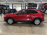 Certified 2023 Ford Escape Active w/ Tech Pack #2 image 2