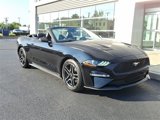 Certified 2020 Ford Mustang Premium image 2