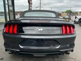 Used 2023 Ford Mustang Premium image 4