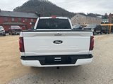 New 2025 Ford F150 XLT image 4