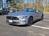 Used 2022 Ford Mustang Premium image 3