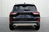 Used 2021 Ford Escape SE w/ Convenience Package image 4